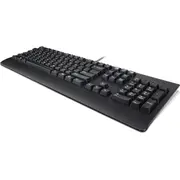 Lenovo Usb tastatūra Trdtnl Kb Bk 189  00Xh699 5704174235156