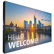 Monitors Philips 55Bdl3305X/00  8721038101478