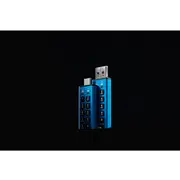 Pendrive Kingston Ironkey Keypad 200, 256 Gb  Ikkp200/256Gb 740617338904