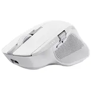 Trust Ozaa mouse Office Right-Hand Rf Wireless  Bluetooth Optical 3200 Dpi 24935 8713439249354 Pertrumys0143