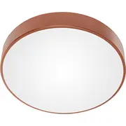 Griestu lampa Orno Ovo plafons 5Xe27, 5X24W, vara tērauds, matēts stikla abažūrs, Ip20,  600 5904988903603