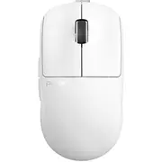 Pulsar X2 Medium, White  Px2222D 8809773556224 84716070