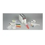 Zebra Z-Band Direct Pieaugušo 25X279Mm - 10006995-7K  8596375002036