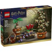 Harry Potter 76474 Ķieģelīši Augi no zāļu mācību stundām Hogvortā  5702018063484