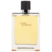 Hermès Terre dHermes Edp 200 ml  3346131403097