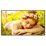 Telewizor Lg 50Ul5Q-E Signage Display 50Inch Va Uhd 500Cd/M2 4.5001 24/7 Webos 6.1 Wifi  8806096602140