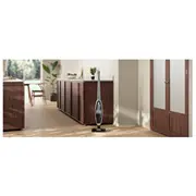Odkurzacz pionowy Electrolux Clean 500 Well Es52Cb21Db  7332543973231 Agdelcodk0285