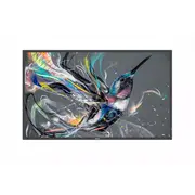 Philips Q-Line 50Bdl3650Q  127,0Cm50 18/7/Uhd/Android10 Speditionsversand 50Bdl3650Q/00 8712581799304 85285210