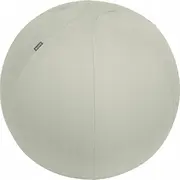 Leitz sēdēšanas bumba Ergo 65Cm, Grey  65420085 4002432134762