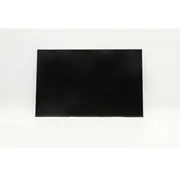 Displejs Lenovo 11.6Hd Tn Ag N-Touch 2  Display 5704174804963