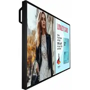 Philips P-Line 50Bdl6017P  127,0Cm50 24/7/Uhd Speditionsversand 50Bdl6017P/00 8721038101195 85285210