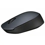 Datora pele Logitech  M170 - Optical mouse grey 910-004642 5099206062887