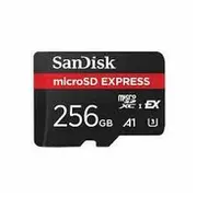 Karta Sandisk Express Microsdxc 256 Gb Class 10 Uhs-I/U3 A1 V30 Sdsqxfn-256G-Gn4Nn  619659202064