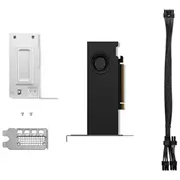 Karta graficzna Lenovo Rtx 2000 Ada Generation 16Gb Gddr6 4X61P69962  0195892100201