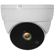 Levelone Cctv Dome  Kamera 4-In-1 Fhd/Ip67/Ir-30M weiß Acs-5302 4015867222102 85258900