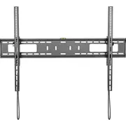 Startech Uchwyt ścienny Fpwtltb1 60 - 100  0065030880503