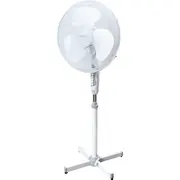 Esperanza Ehf001Ww / 7171056