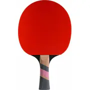 Cornilleau galda tenisa rakete Excell Carbon 3000  413000 3222764130008