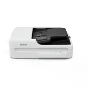 Epson Workforce Ds-1730 Hellgray/Dunkelgray, Usb  B11B273401 8715946737560