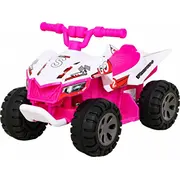 Ramiz Quad visātrākais transportlīdzeklis Pink  Pa.brd-2101.Roz 5903864952070