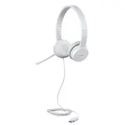 Lenovo  Usb Headset 110 Stereo Yes Type-A Gxd1E71385 195892023814