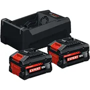 Bosch Powertools Expert Starter-Set 2X Exba 18V-55  Dual-Voltage-Ladegerät Gal 12V/18V-80 Black, Li-Ionen Akku 5,5Ah, Ampshare Alliance 1600A0373P 4053423342055
