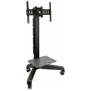 Ergotron Stojak podłogowy 24-192-085 50 - 75  0698833016154