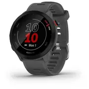 Garmin Forerunner 55 Gray 010-02562-13  753759279660