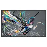 55  Q-Line 18/7, 4K Uhd 55Bdl3511Q 8712581778590