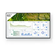 Monitor Sony Bravia Fw-65Bz30L  4548736150058