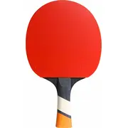 Cornilleau galda tenisa rakete Perform 800  428000 3222764280000