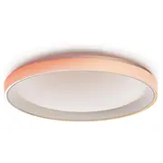 Aqara T1M Viedā Griestu Lampa  Cl-L02D 6975833352128