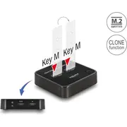 Delock M.2 Dockingstation für 2Xm.2 Sata Ssd mit Klon  64178 4043619641789 84718000