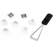 Hp  519T5AaAbd 196188737071