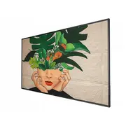 Monitors Philips D-Line 55Bdl4511D/00  8712581778668