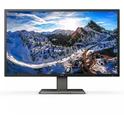 Monitor Philips P-Line 439P1/00  8712581776947