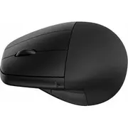 Bezvadu pele Hp Premium  Wireless Mouse with 5715063052280