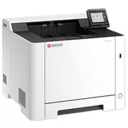 Kyocera Ecosys Pa2101Cwx Gray/Black, Usb, Lan, Wlan, Duplex Druck  110C243Nl0 0632983087275
