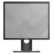 Monitors Dell P1917S 210-Ajbg  5415247111689