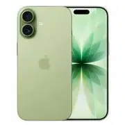 Apple iPhone 17 256Gb - Indian Spec Sage  Mg6N4Hn/A 195950644241