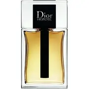 Dior Homme Edt 100 ml  898 8595562260204