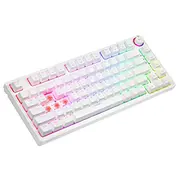 Klawiatura mechaniczna bezprzewodowa Phenix White Gateron Red Pro, Abs  Savgk-Phenix Gat 5901986049289 Uksaorgbsaprabs