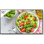 Monitor Sony Fw-55Bz35L  4548736150188