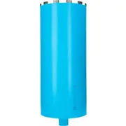 Bosch dimanta urbis Fi202 x 450Mm vītne 1-1/4 2608601744  3165140947138