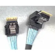 Intel Cypcblsl216Kit 2U Slimsas kabelis x16 Cpu uz Hsbp  0675901878265