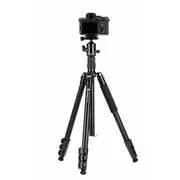 Statīvs Fotopro A5I ar lodveida galvu Fph-55Qs  Fp5202 6944326366577