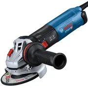 Bosch Gws 17-125 Ts Carton 06017D0400