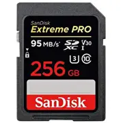 Sandisk Secure Digital Sdxc 256Gb Uhs-1 Sdsdxxd-256G-Gn4In