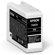Epson Singlepack Photo Black T46S1 Ultra C13T46S100