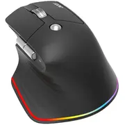Acer Easy Fit wireless Mouse, Black Hp.expbg.021